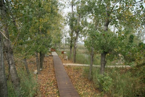 2015第二届中国滕州微山湖湿地马拉松