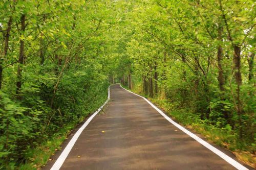 2015第二届中国滕州微山湖湿地马拉松