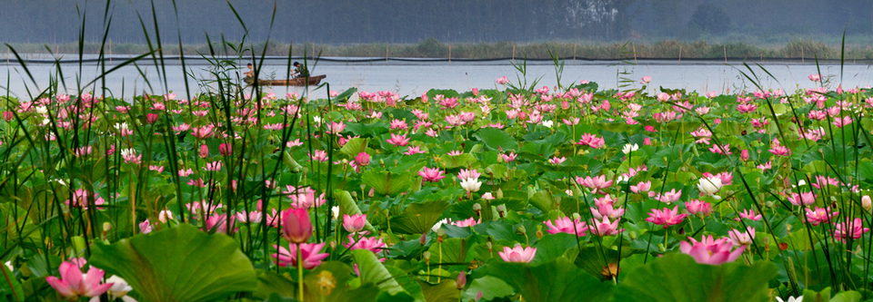 2015第二届中国滕州微山湖湿地马拉松