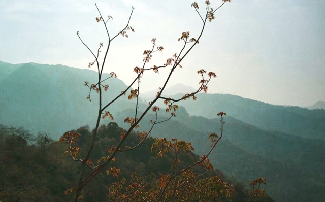 RW50腾冲“重返野人山”国际越野挑战赛