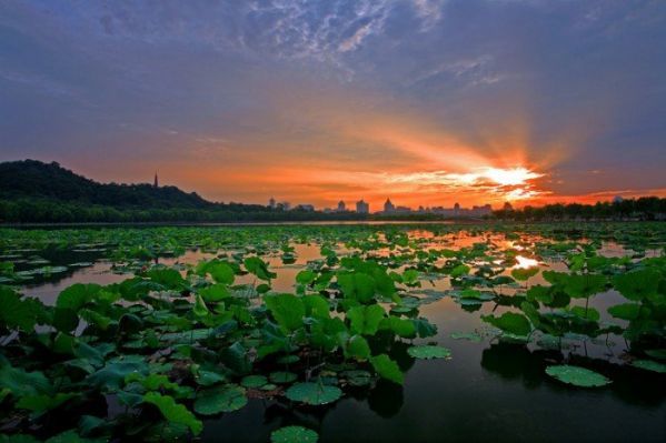 杭州国际马拉松赛