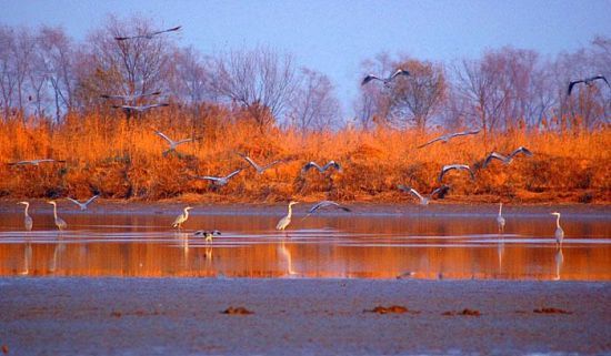 衡水湖国际马拉松