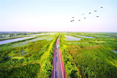 济宁“城投·鹿港杯”首届环太白湖半程马拉松赛
