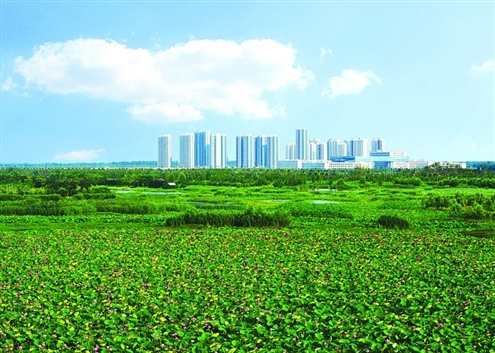济宁“城投·鹿港杯”首届环太白湖半程马拉松赛
