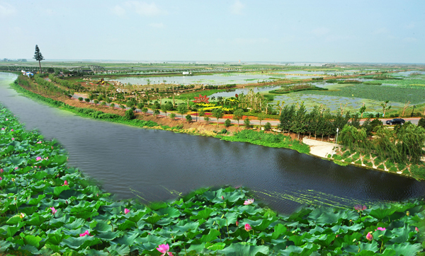 济宁“城投·鹿港杯”首届环太白湖半程马拉松赛