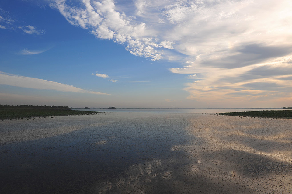 济宁“城投·鹿港杯”首届环太白湖半程马拉松赛