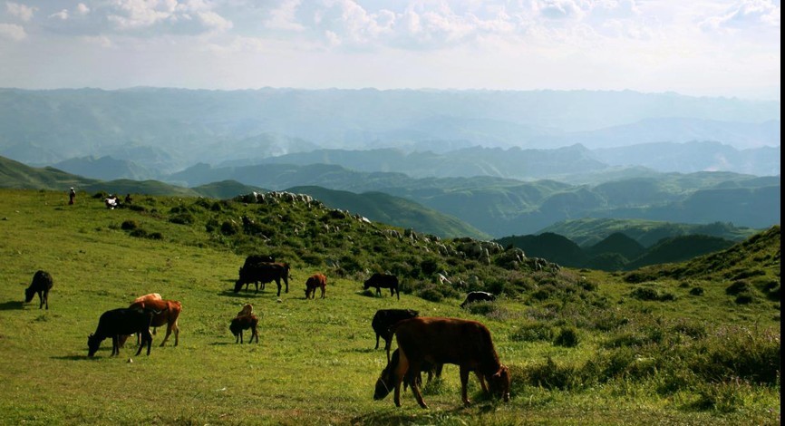 凉都六盘水夏季国际马拉松赛