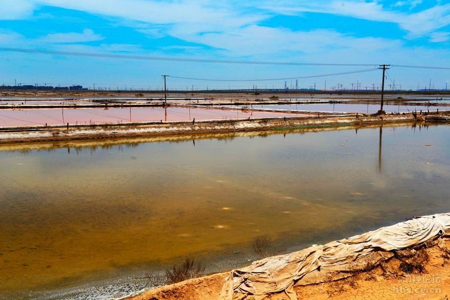 连云港徐圩国际马拉松