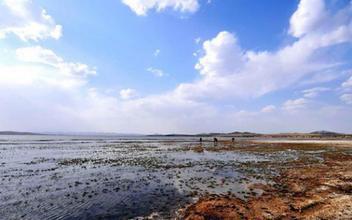 张家口康保草原国际马拉松赛
