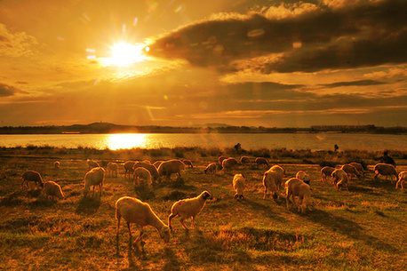张家口康保草原国际马拉松赛