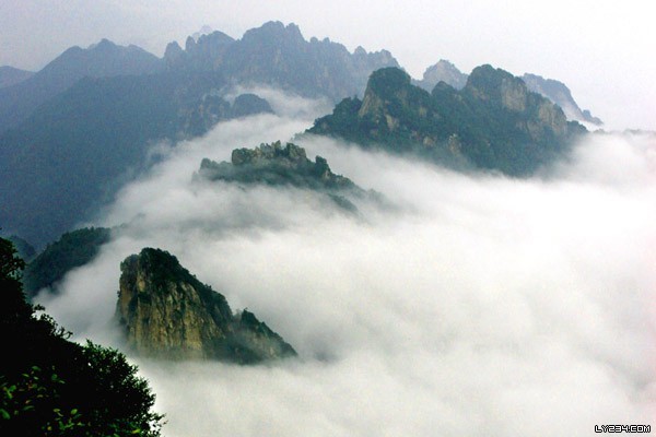 2015 亚瑟士ASICS成都山地马拉松