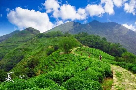 2015爱尚-杭州四季越野（夏季赛）