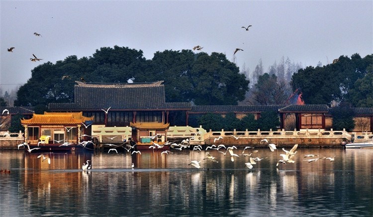 常熟尚湖半程马拉松邀请赛