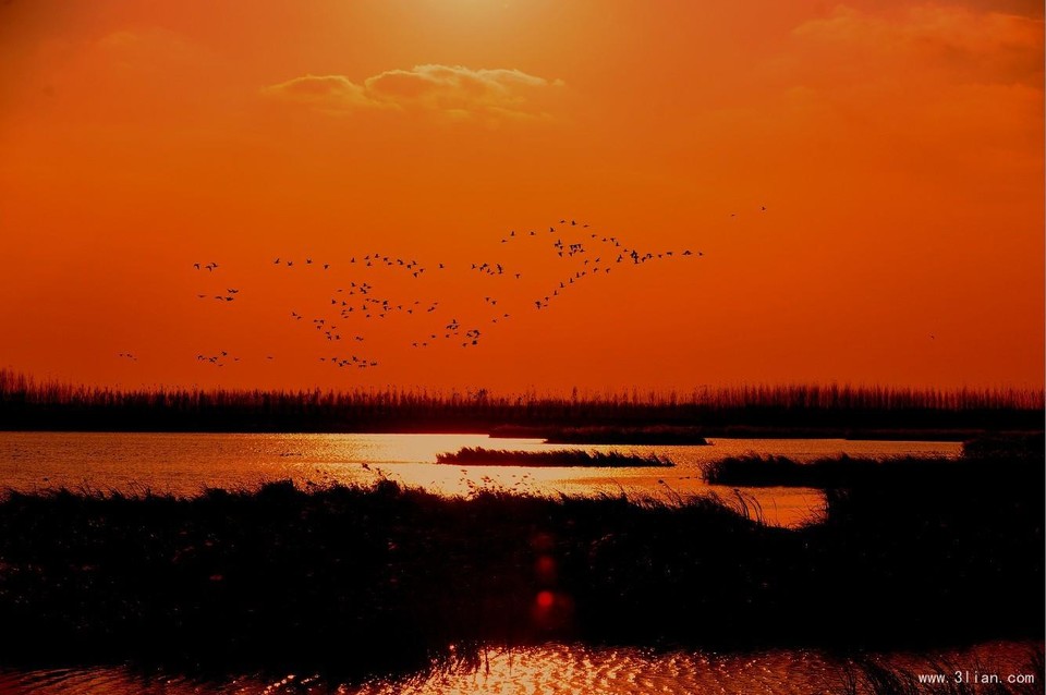 青岛（莱西）国际马拉松