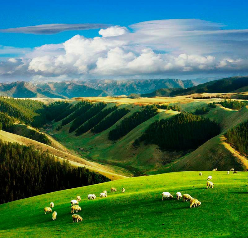 2015中国·张掖祁连山国际超百公里山地户外运动挑战赛