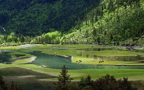 2015重庆石柱千野草场国际马拉松