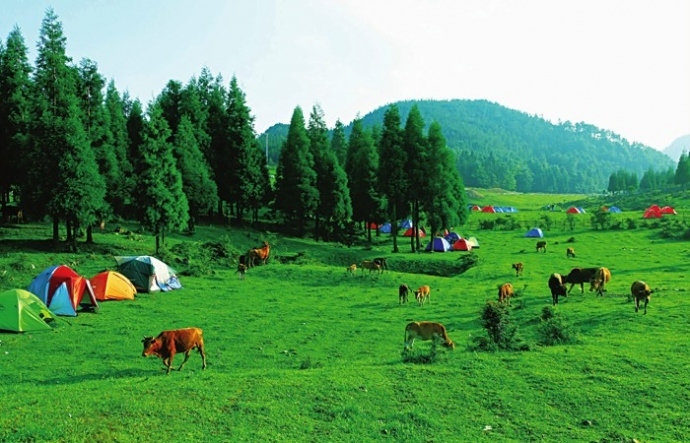 2015重庆石柱千野草场国际马拉松