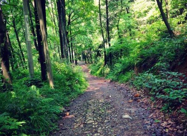 杭州西野追狼挑战赛