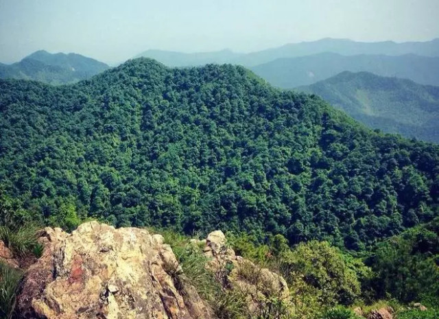 杭州西野追狼挑战赛