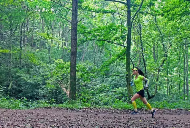 杭州西野追狼挑战赛