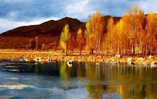 美丽中国·生态马拉松张掖.临泽站