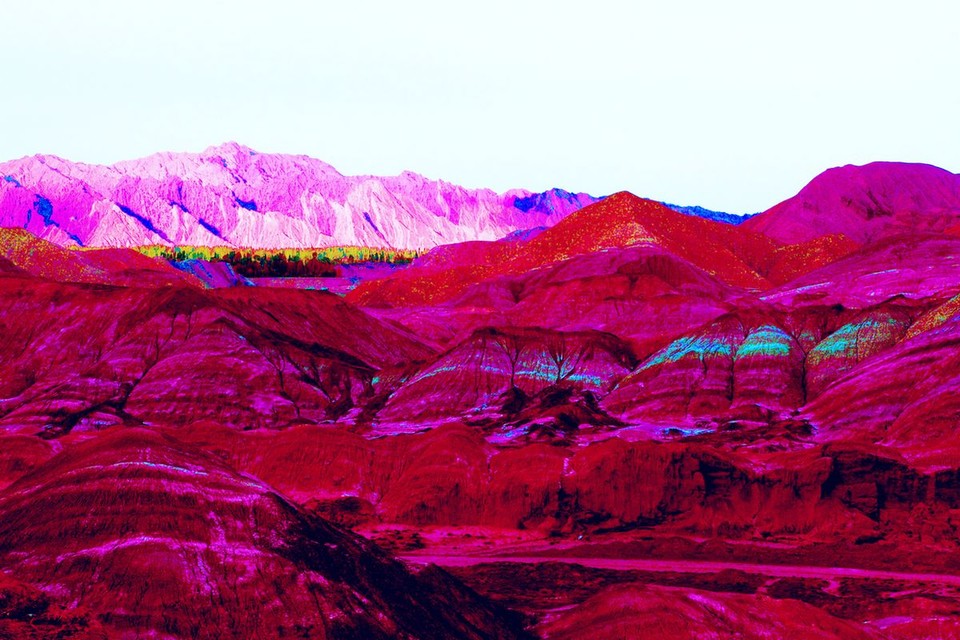 美丽中国·生态马拉松张掖.临泽站