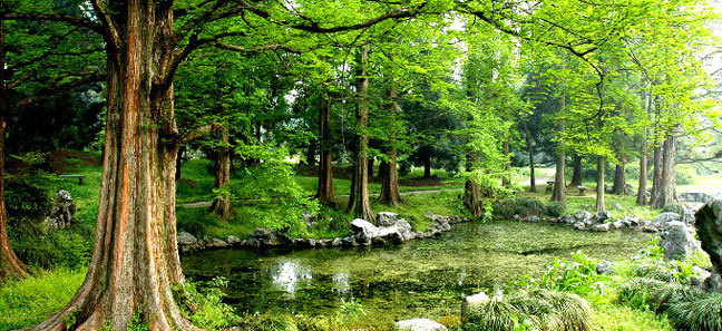 跑神中国·2015西湖群山越野赛暨首届西湖山地文化节