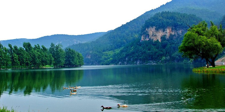 淄博高青千乘湖全国马拉松赛