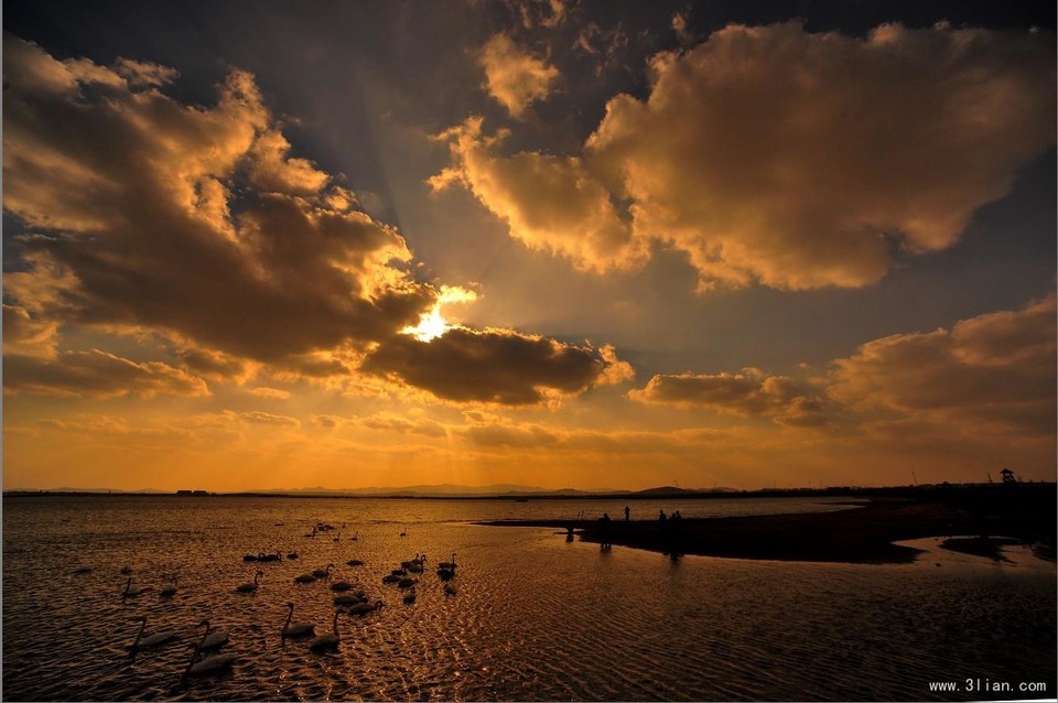 2015青岛·莱西国际马拉松