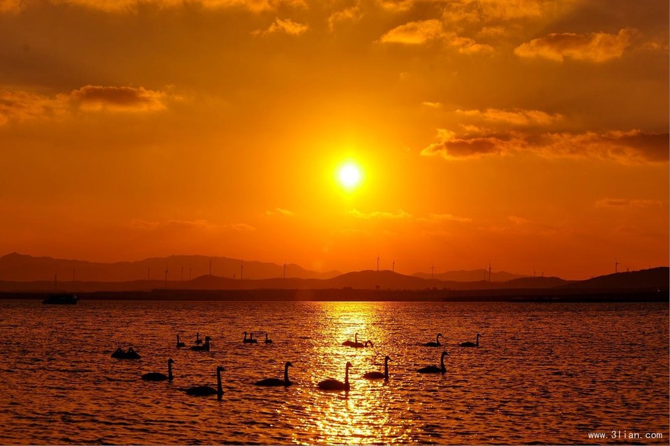 2015青岛·莱西国际马拉松