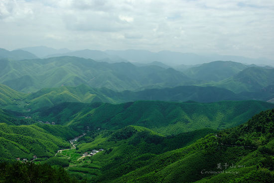 莫干山日出半程马拉松