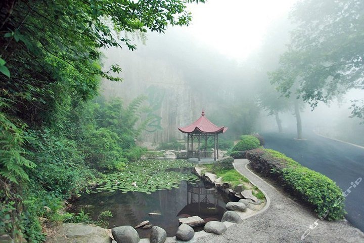 莫干山日出半程马拉松