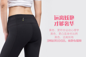 FlipBelt健身裤女弹力运动紧身裤高腰蜜桃臀跑步裤训练速干瑜伽裤