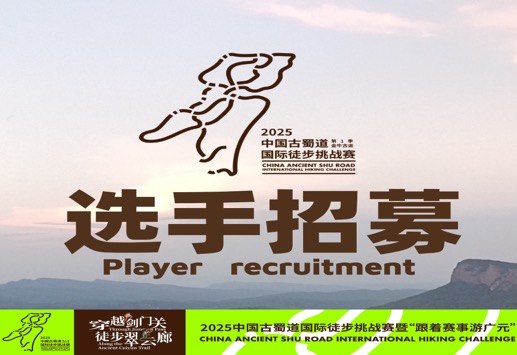 选手招募