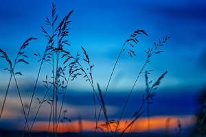 杭州小北城市漫步跑