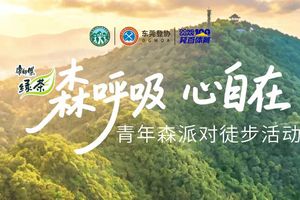 2026东莞市大岭山森林公园「森呼吸·心自在」青年森派对登山徒步