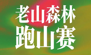 2026纵情山野老山森林跑山