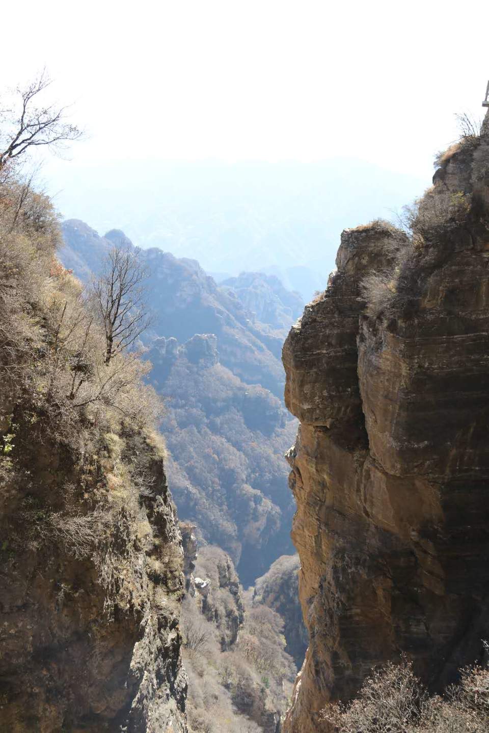 微信图片_20201026215913