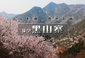 周末1日 | 周六/周日 • 7KM 黑山寨｜漫山野桃花の黑山寨栈道环穿