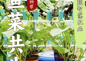 志愿北京6h趣探鱼菜共生4.18/19/25/26/5.1/2/3教授带你构建／阳台绿色生态/建造专属自己的微农场