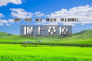 五一2日｜•坝上草原｜坝上正确打开方式の摄影、骑马、篝火、烤全羊、卡拉OK…… 