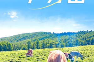 五一4日︱芦芽山｜万年冰洞+观悬空村奇观+马仑草原+高山天池+雁门关+忻州古城+小众路线+38人小团