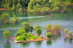 【团建2日 】游“北方小桂林”易水湖、逛太行水镇赏民俗，清西陵看皇陵！