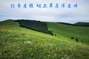 【坝上2日团建】草原•马背旅行｜坝上广袤草原.骑马撒欢/篝火烤羊/湖/大汉行宫/情人谷/全景精华一网打尽，轻奢度假自由行