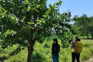 探寻中国最早皇陵金陵—十字寺采摘野桑葚一日团建穿越