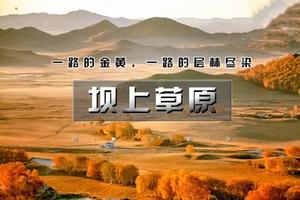 国庆2日•10.1/3/5/7坝上草原｜坝上正确打开方式の摄影·骑马·篝火·烤全羊·卡拉OK……