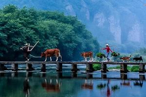 国庆6天｜10.1晚出发浙南秘境 | 北京大巴直发の楠溪江-雁荡山-丽水-云和梯田-古堰画乡-南京