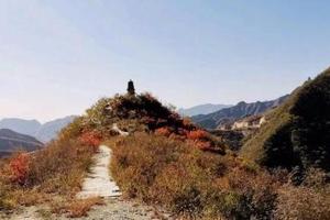 公司团建 | 谷积山登山访古寺摘柿子