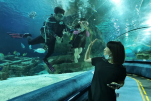 【水肺潜水】每周六、日酷玩运动，富国海底世界和鱼儿嬉戏