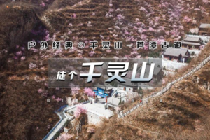 公司团建 | 千灵山｜600亩山桃花の北京西南第一崇山『千灵山-芦潭古道』12KM